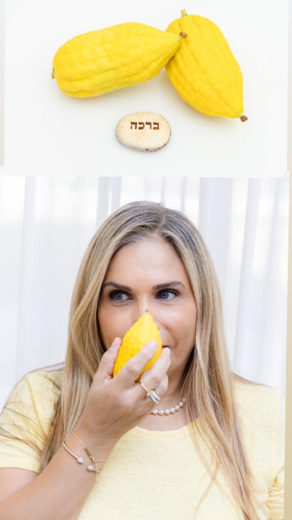 ורד סלע
